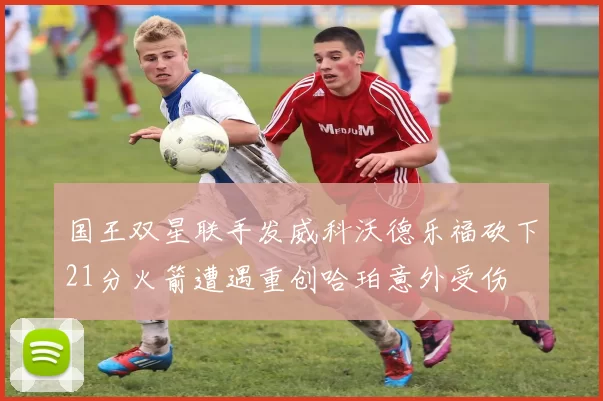 国王双星联手发威科沃德乐福砍下21分火箭遭遇重创哈珀意外受伤
